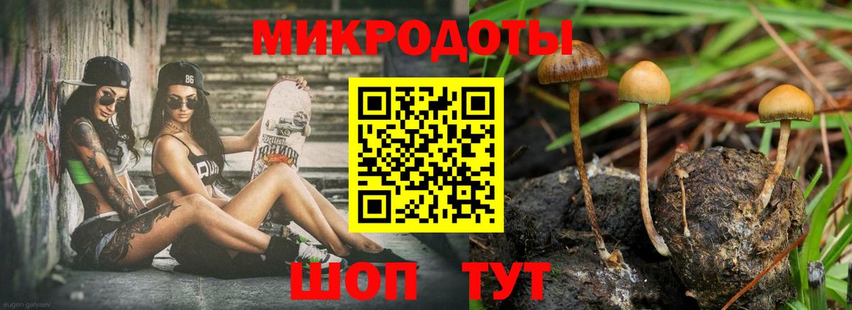 Галлюциногенные грибы Cubensis Саров