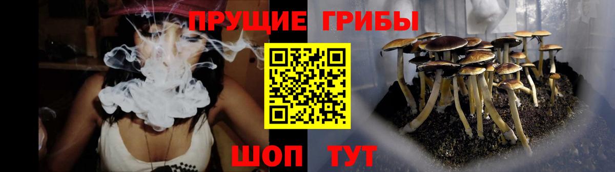 Галлюциногенные грибы MAGIC MUSHROOMS  Вход с VPN  Саров 