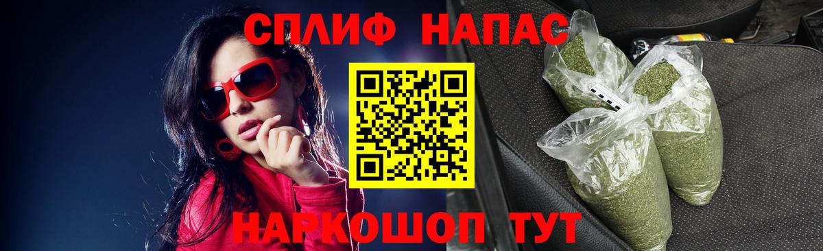 Бошки Шишки план Саров
